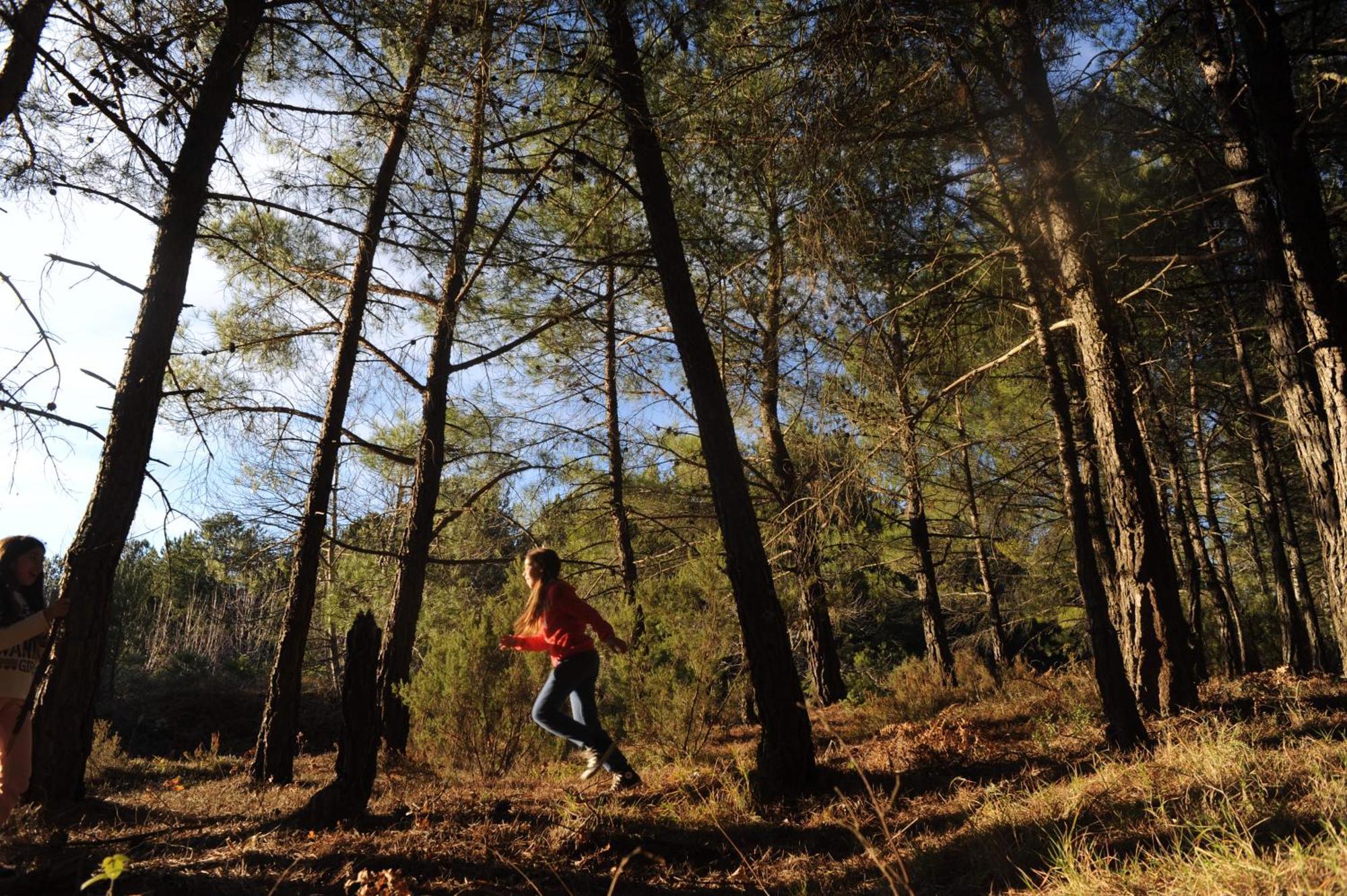 Foresta In Medias Mores Hotel Trípoli Kültér fotó