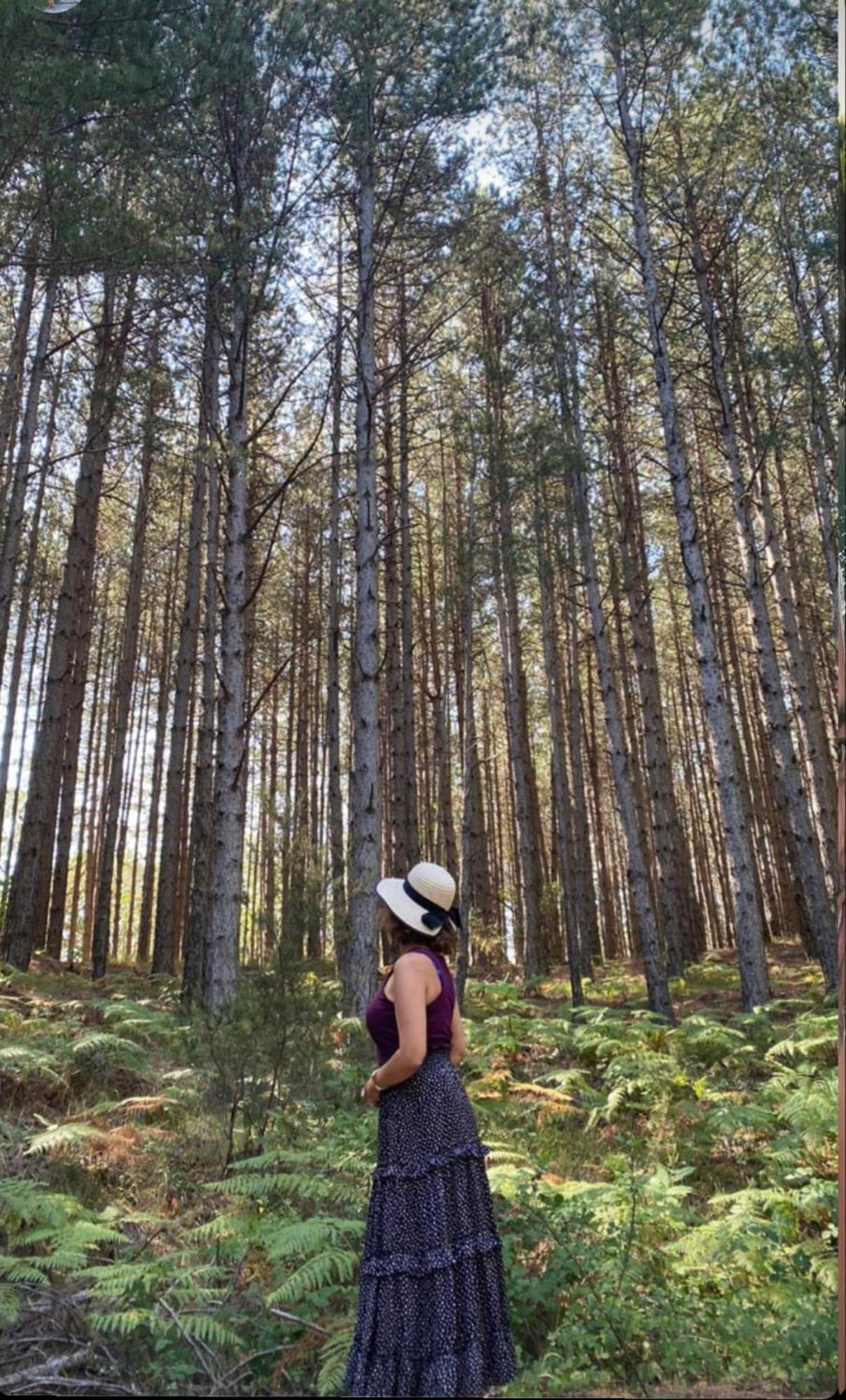 Foresta In Medias Mores Hotel Trípoli Kültér fotó